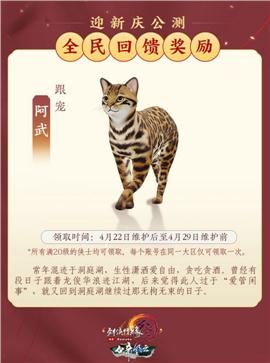 天地玄黄天龙八部私服